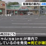 母親が買い物してる4時間、車内の3か月赤ちゃん死亡！